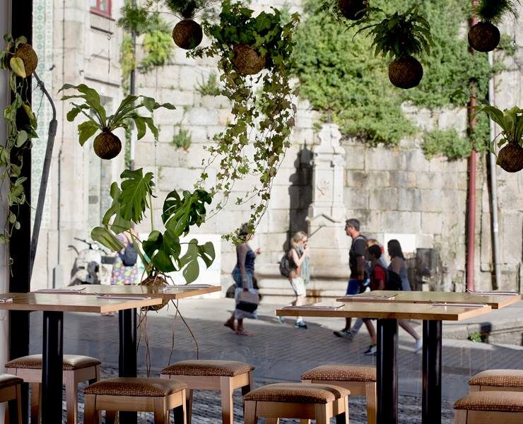 Marcas com ‘h’: deixe-se elevar pela Fiu jardins suspensos®