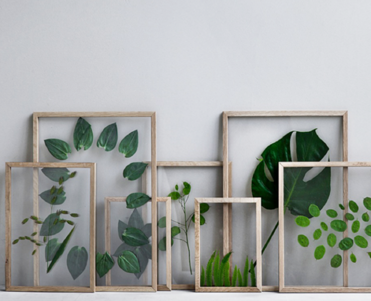 Ideias com ‘h’: Wallart com flores ou plantas