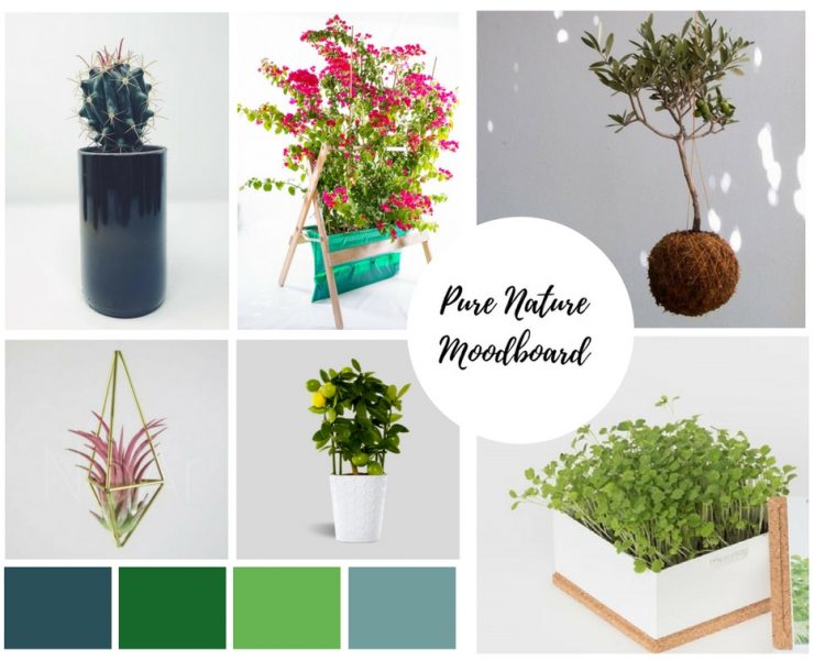 Moodboard: Pure Nature, a natureza em nossa casa