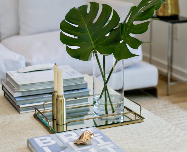 10 Ideias para decorar com plantas