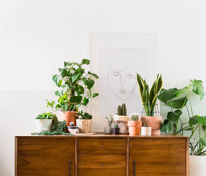 aparadores: 6 maneiras de decorar