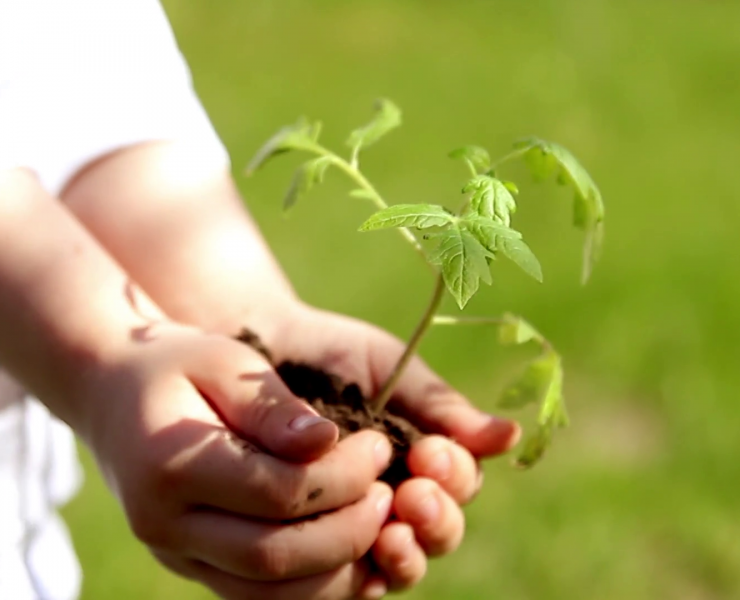 5 Dicas para tornar as crianças super heróis da ecologia